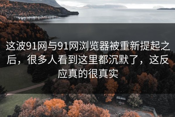 这波91网与91网浏览器被重新提起之后，很多人看到这里都沉默了，这反应真的很真实