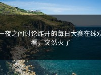 一夜之间讨论炸开的每日大赛在线观看，突然火了