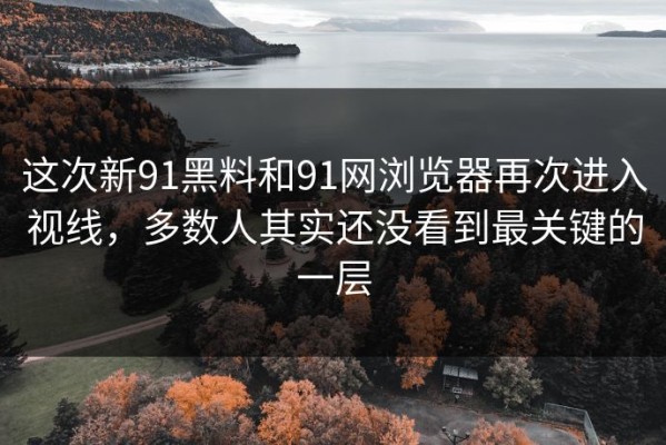 这次新91黑料和91网浏览器再次进入视线，多数人其实还没看到最关键的一层