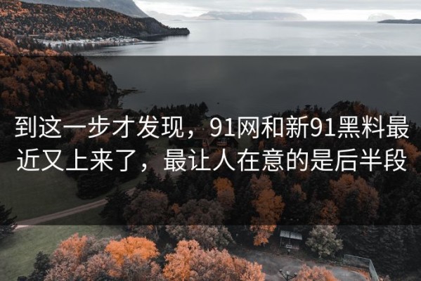 到这一步才发现，91网和新91黑料最近又上来了，最让人在意的是后半段