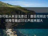 你可能从来没注意过｜蘑菇视频这个词难怪最近讨论声越来越大