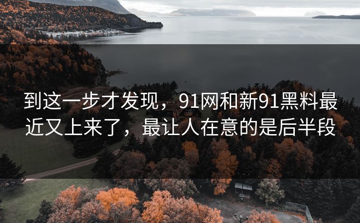 到这一步才发现，91网和新91黑料最近又上来了，最让人在意的是后半段