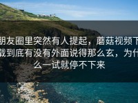 朋友圈里突然有人提起，蘑菇视频下载到底有没有外面说得那么玄，为什么一试就停不下来