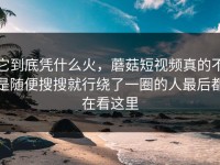 它到底凭什么火，蘑菇短视频真的不是随便搜搜就行绕了一圈的人最后都在看这里