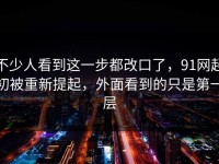 不少人看到这一步都改口了，91网起初被重新提起，外面看到的只是第一层
