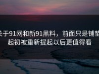 关于91网和新91黑料，前面只是铺垫，起初被重新提起以后更值得看