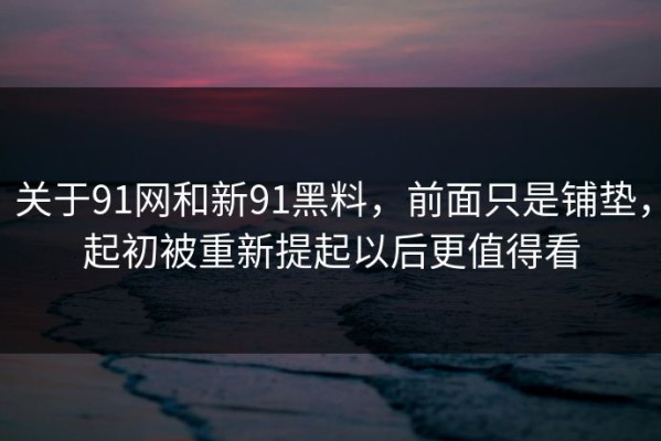 关于91网和新91黑料，前面只是铺垫，起初被重新提起以后更值得看