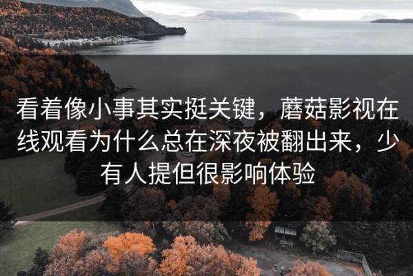 看着像小事其实挺关键，蘑菇影视在线观看为什么总在深夜被翻出来，少有人提但很影响体验