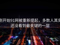 刚开始91网被重新提起，多数人其实还没看到最关键的一层