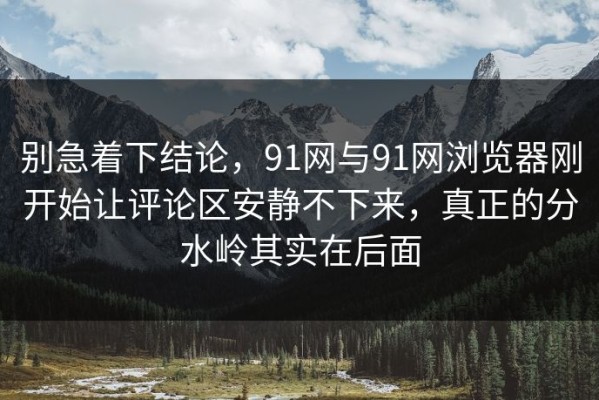 别急着下结论，91网与91网浏览器刚开始让评论区安静不下来，真正的分水岭其实在后面