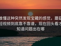谁懂这种突然发现宝藏的感觉，蘑菇短视频到底靠不靠谱，现在回头看才知道问题出在哪