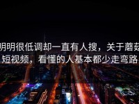 明明很低调却一直有人搜，关于蘑菇短视频，看懂的人基本都少走弯路