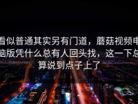 看似普通其实另有门道，蘑菇视频电脑版凭什么总有人回头找，这一下总算说到点子上了