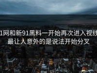 91网和新91黑料一开始再次进入视线，最让人意外的是说法开始分叉
