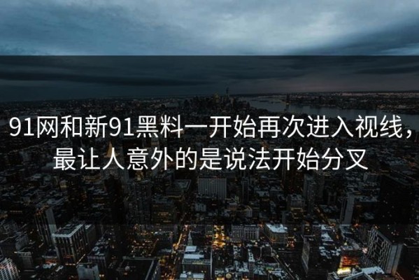 91网和新91黑料一开始再次进入视线，最让人意外的是说法开始分叉