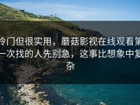 冷门但很实用，蘑菇影视在线观看第一次找的人先别急，这事比想象中复杂