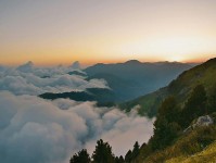 看完第一反应是离谱，蘑菇短视频这次总算有人说透了，这事比想象中复杂