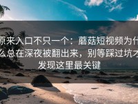 原来入口不只一个：蘑菇短视频为什么总在深夜被翻出来，别等踩过坑才发现这里最关键