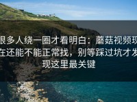 很多人绕一圈才看明白：蘑菇视频现在还能不能正常找，别等踩过坑才发现这里最关键