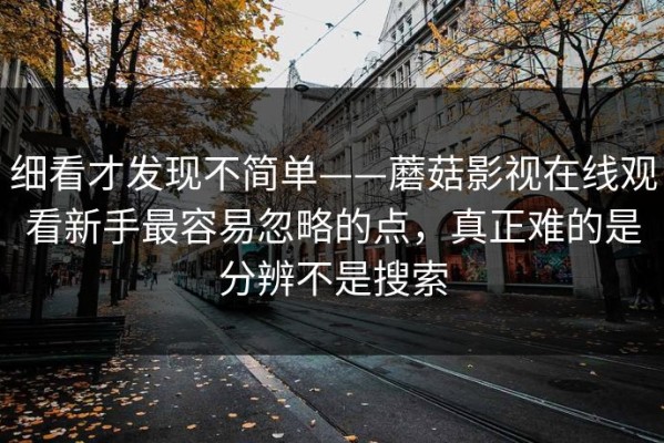 细看才发现不简单——蘑菇影视在线观看新手最容易忽略的点，真正难的是分辨不是搜索