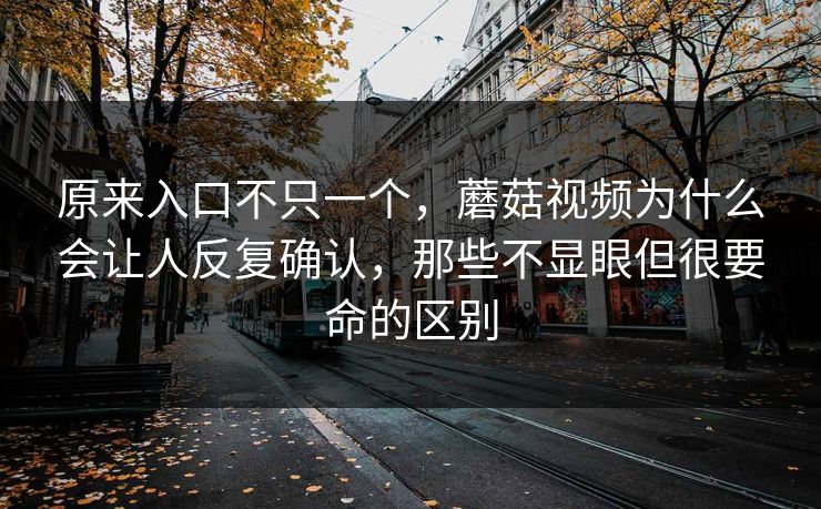 原来入口不只一个，蘑菇视频为什么会让人反复确认，那些不显眼但很要命的区别
