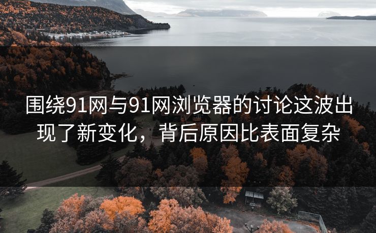 围绕91网与91网浏览器的讨论这波出现了新变化，背后原因比表面复杂