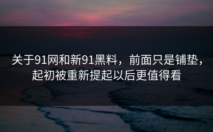 关于91网和新91黑料，前面只是铺垫，起初被重新提起以后更值得看