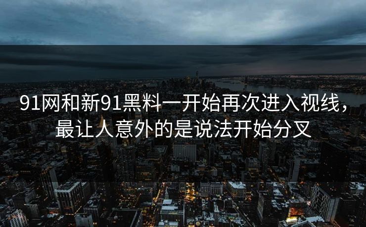 91网和新91黑料一开始再次进入视线，最让人意外的是说法开始分叉
