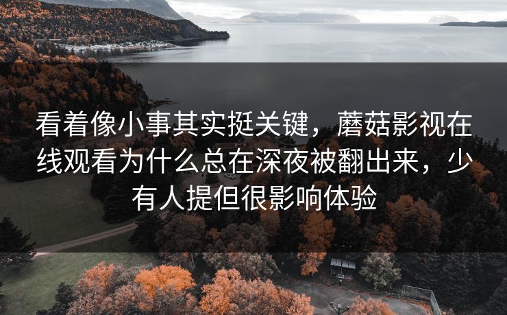 看着像小事其实挺关键，蘑菇影视在线观看为什么总在深夜被翻出来，少有人提但很影响体验