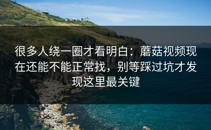 很多人绕一圈才看明白：蘑菇视频现在还能不能正常找，别等踩过坑才发现这里最关键