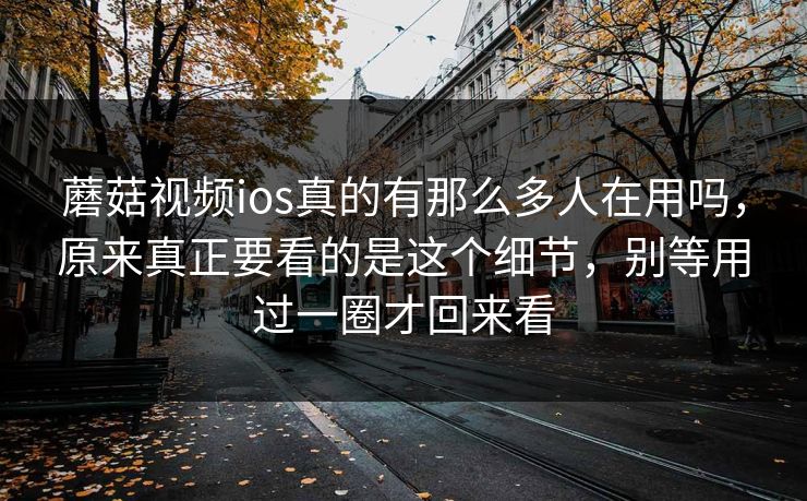 蘑菇视频ios真的有那么多人在用吗，原来真正要看的是这个细节，别等用过一圈才回来看