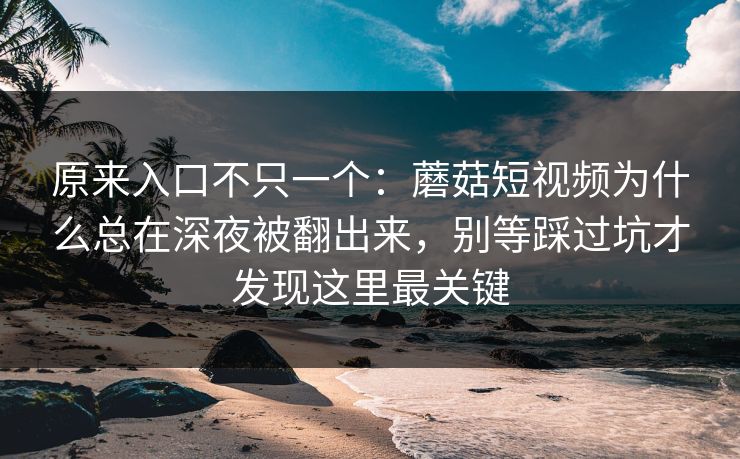 原来入口不只一个：蘑菇短视频为什么总在深夜被翻出来，别等踩过坑才发现这里最关键