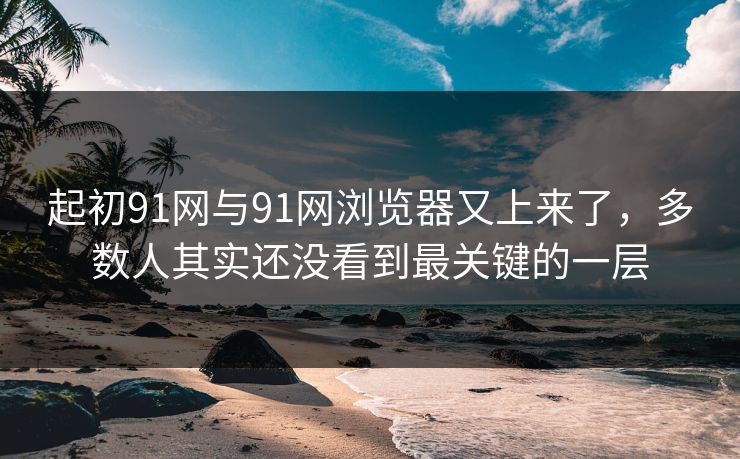 起初91网与91网浏览器又上来了，多数人其实还没看到最关键的一层
