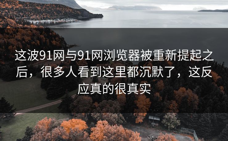 这波91网与91网浏览器被重新提起之后，很多人看到这里都沉默了，这反应真的很真实