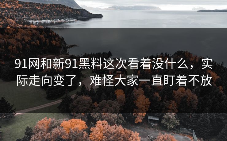 91网和新91黑料这次看着没什么，实际走向变了，难怪大家一直盯着不放